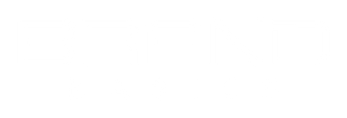 Brand Basics